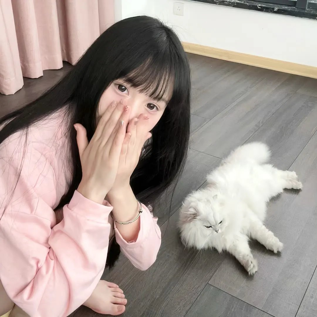 环战公主